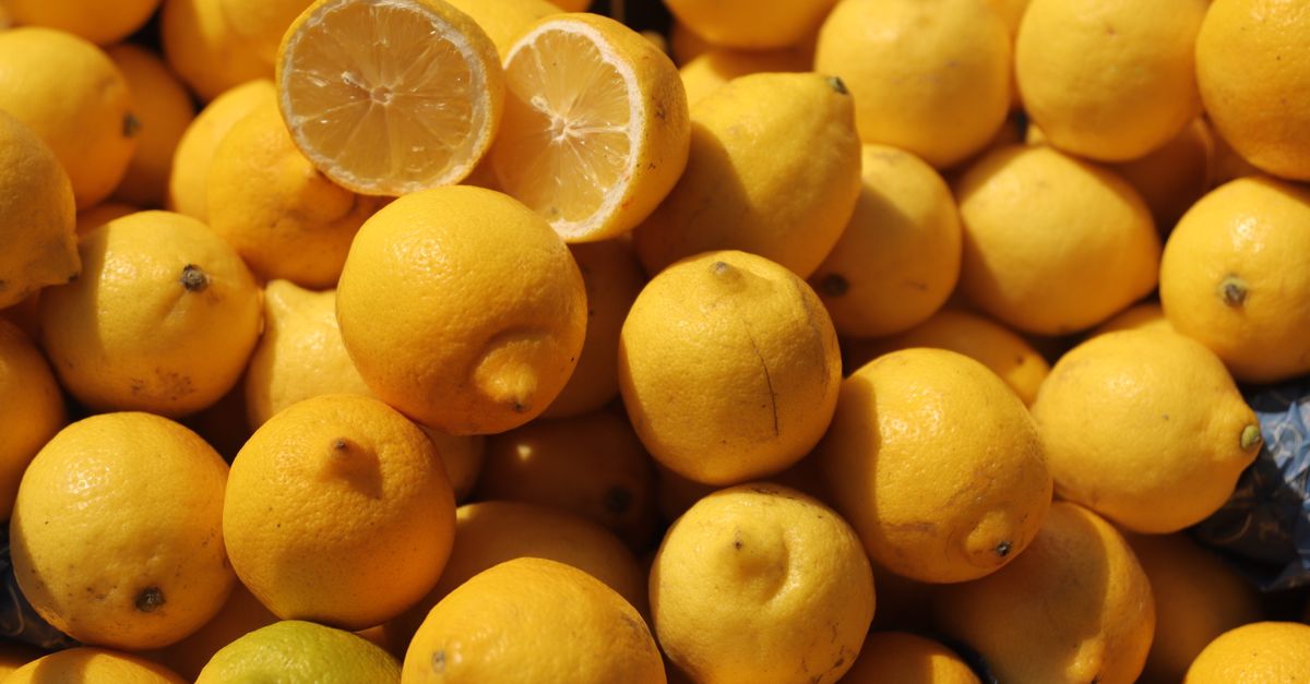 Fête du Citron de Menton 2027